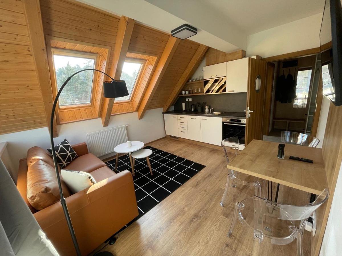 Apartman 511 Lipno nad Vltavou Buitenkant foto